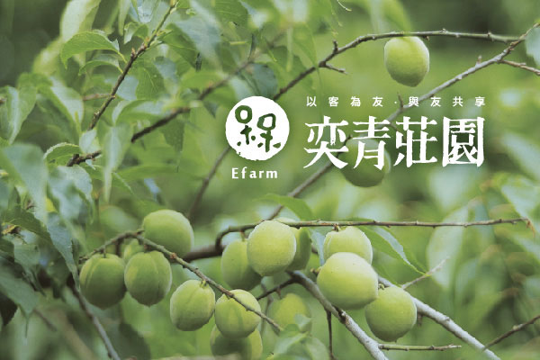 奕青莊園 - 墨宇網頁設計精選案例